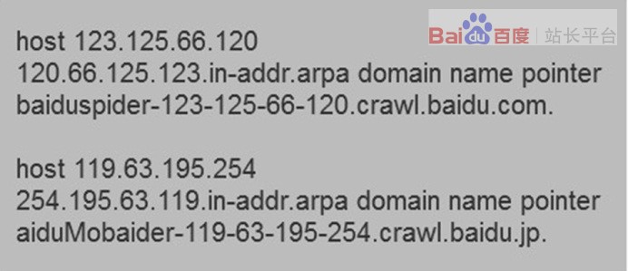 【官方說法】只用兩步，正確識別百度蜘蛛